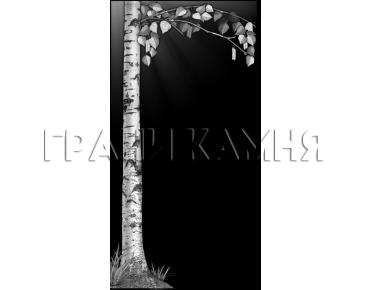Вертикальный гранитный памятник на могилу с березой №288